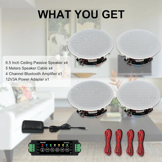 Herdio In-Ceiling Bluetooth 600W 4-Speaker System